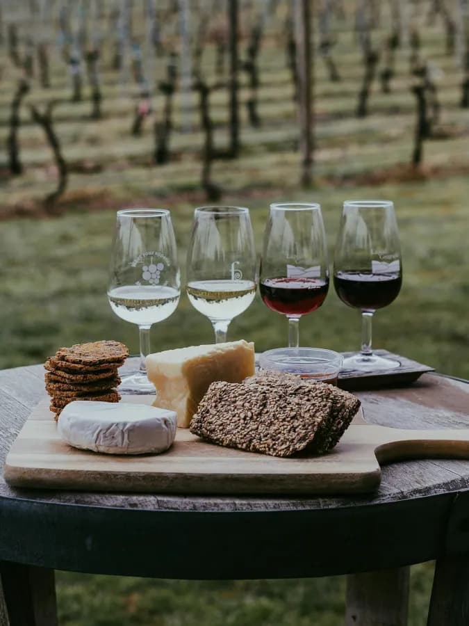 Procházka vinicí s ochutnávkou